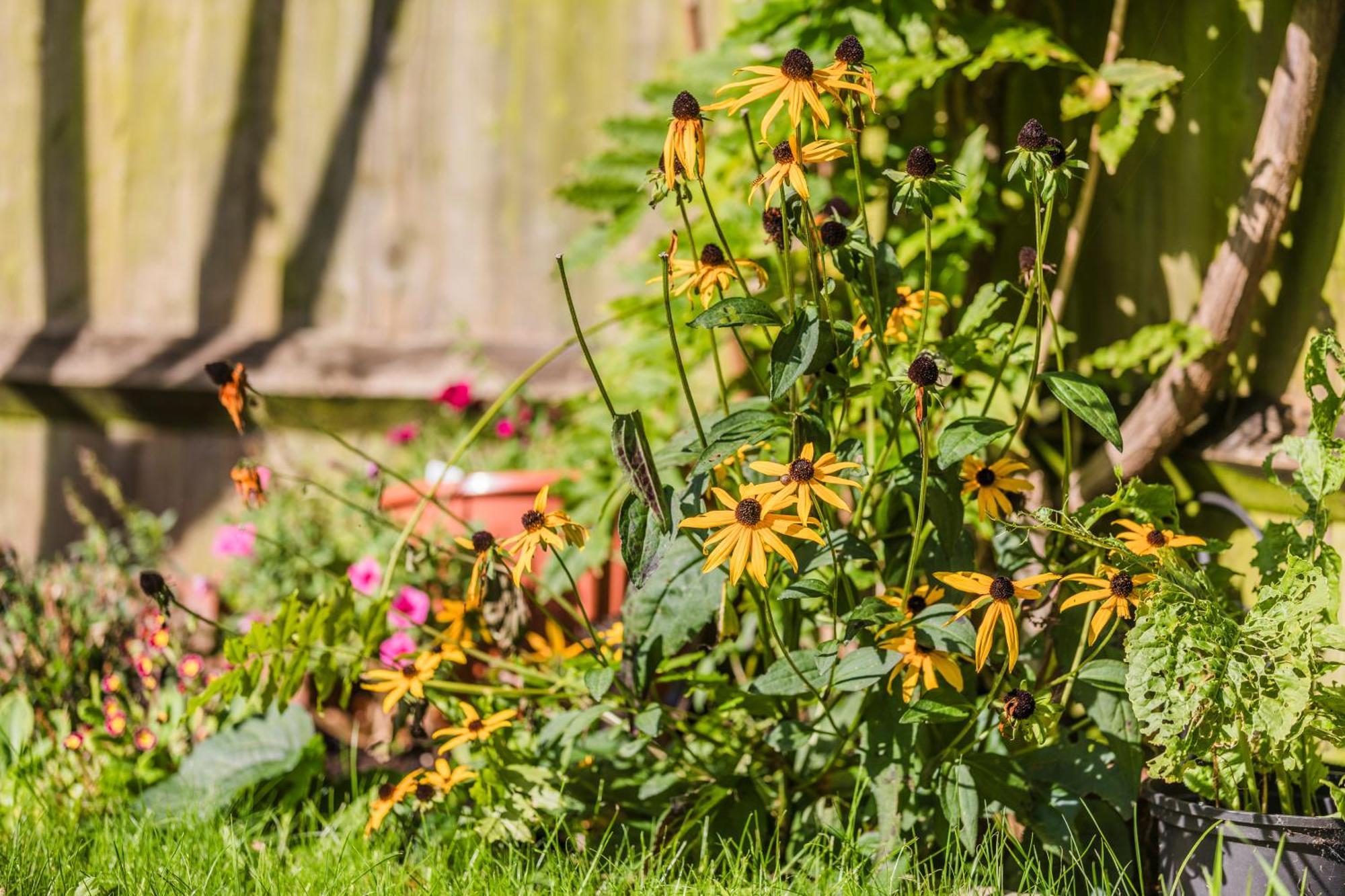 Holiday home Jungle House Chichester