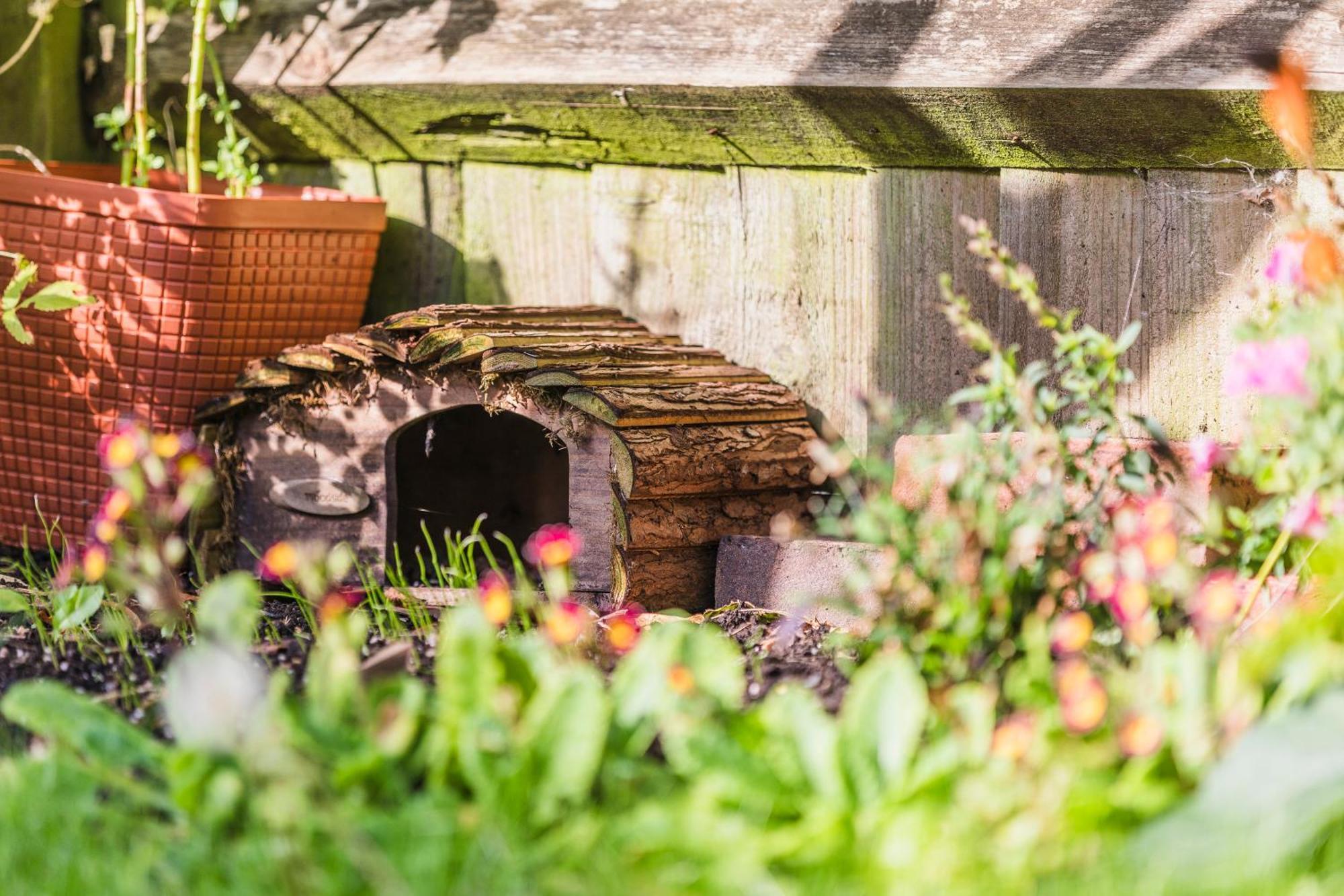 Jungle House Holiday home Chichester