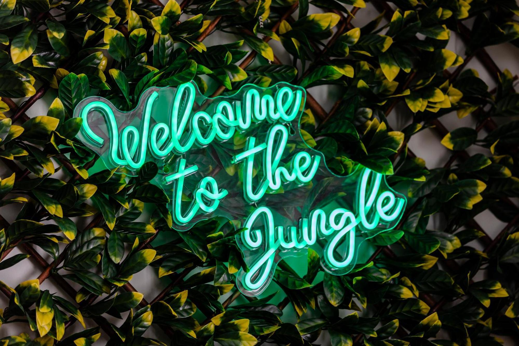 Holiday home Jungle House Chichester